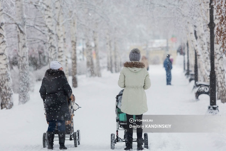 Кратковременный мороз, метели: прогноз погоды на начало января в Томской области