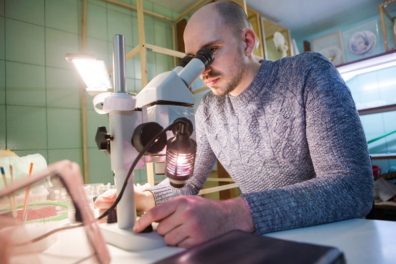 Комар под микроскопом: зачем ученые ТГУ исследуют генетику кровососущих