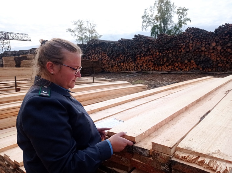 Более 480 тыс кубов лесоматериалов вывезли из Томской области за рубеж с начала года