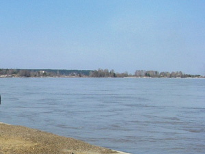 Данные по уровню воды в Томи