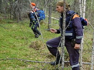 В лесу нашли заблудившуюся бабушку