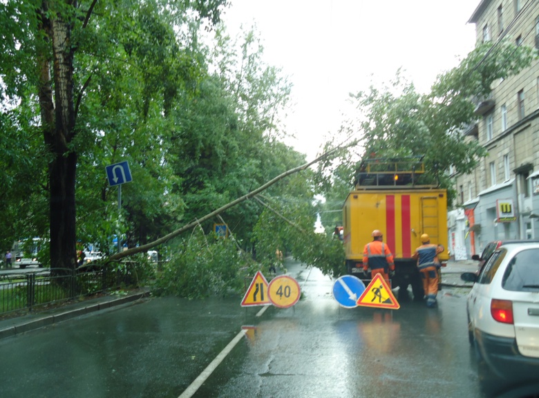 Утром на Кирова на проезжую часть упало дерево