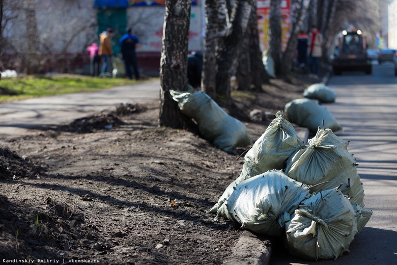 Более 800 кубометров мусора собрали томичи на общегородском субботнике
