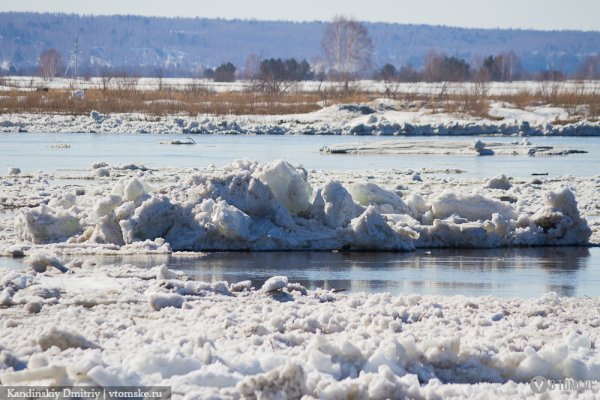 Уровень воды в Оби в двух районах области превышает критический уровень