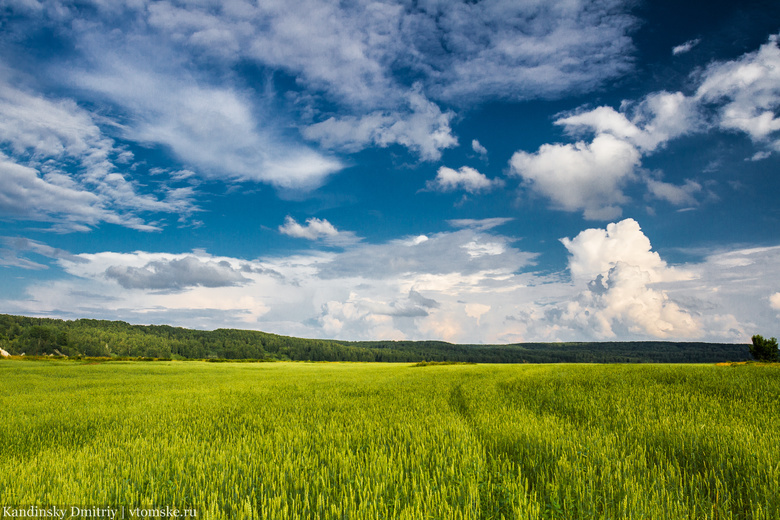 Синоптики: лето в Томской области будет жарким и благоприятным для урожая