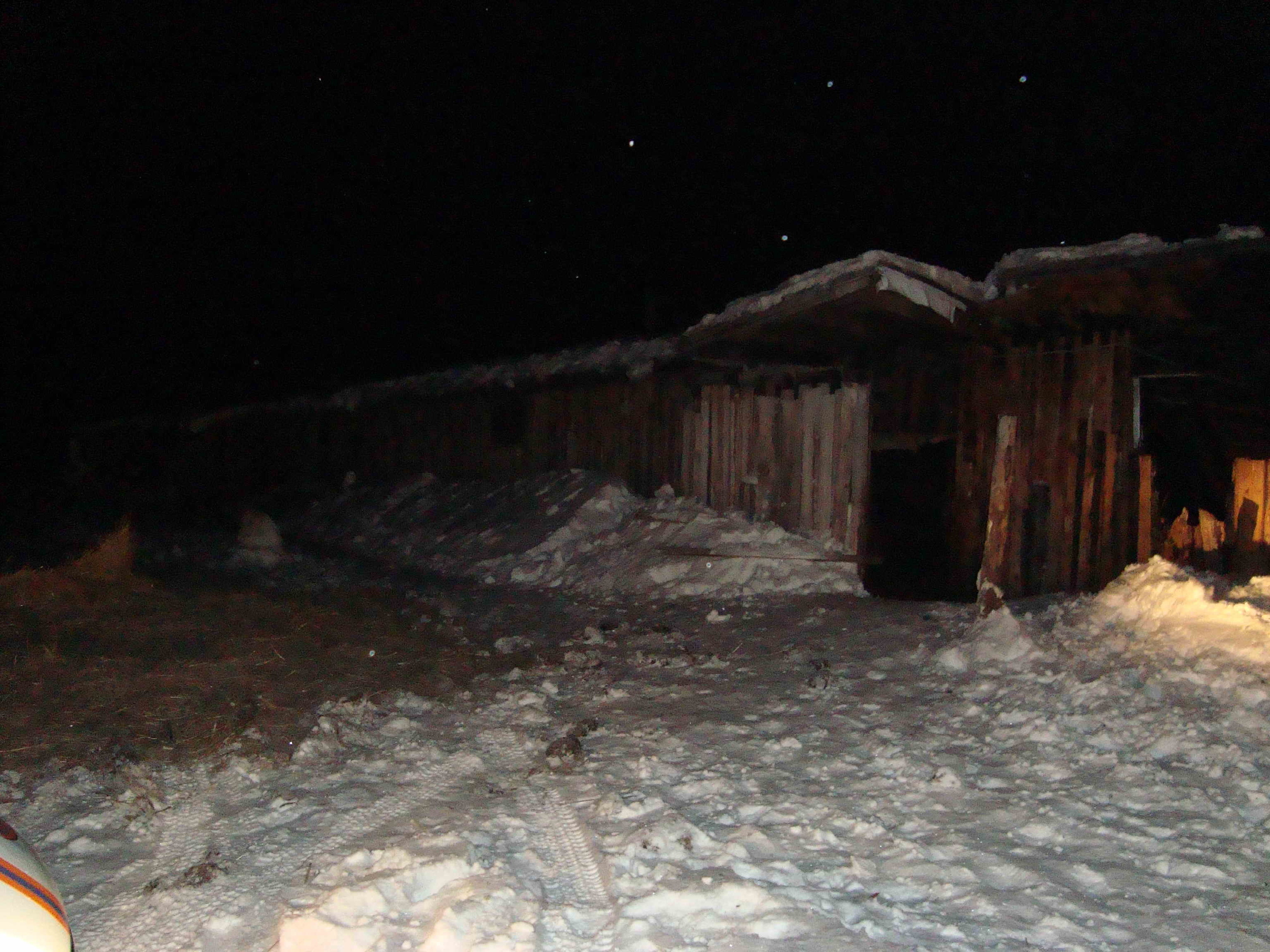 Пожар на ферме в Петухово мог начаться от печи (фото)