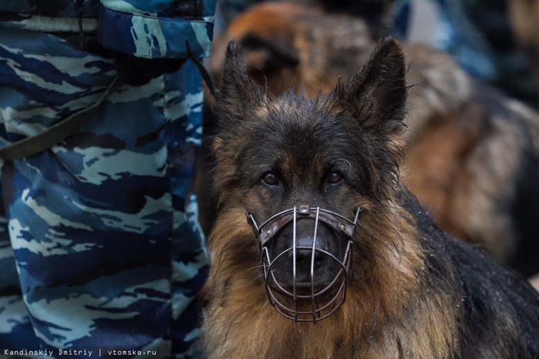 Томские полицейские эвакуировали десять человек из-за муляжа взрывного устройства
