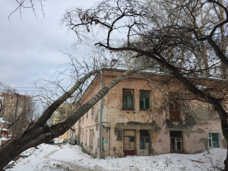 Дерево упало на жилой дом в Томске