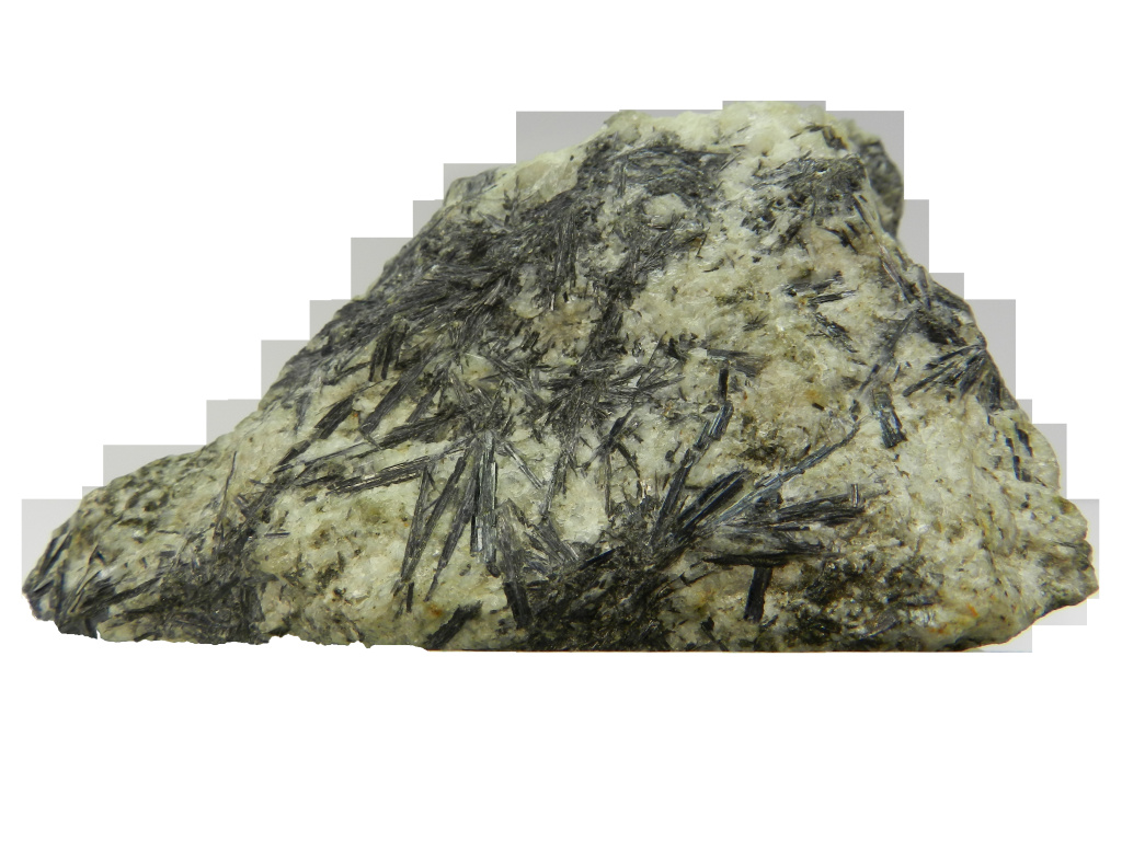 пресс-служба ТГУ