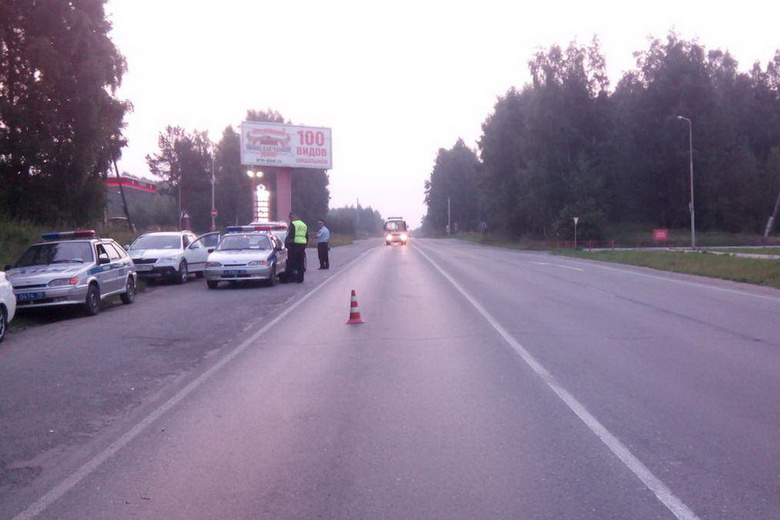 Водитель «Волги» насмерть сбил женщину ночью в Томске, нужна помощь очевидцев