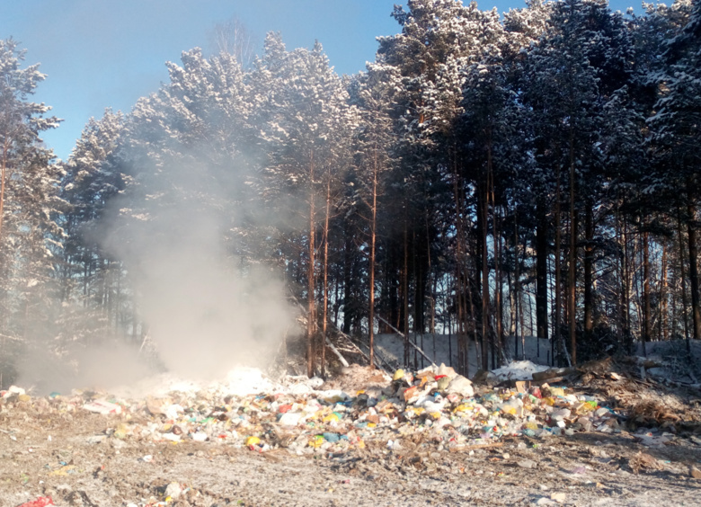Прокуратура через суд обяжет власти убрать тлеющую в лесу Томского района свалку