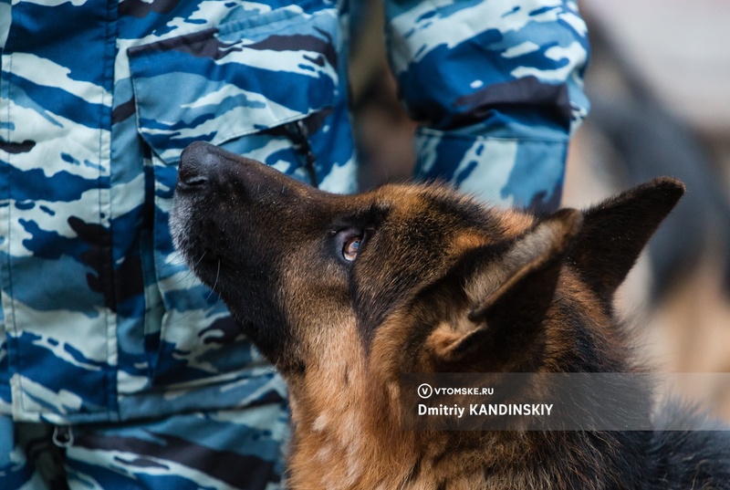 В Томске проверяют клинику после сообщения о минировании