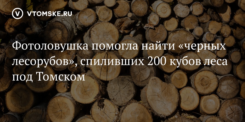 200 кубов леса