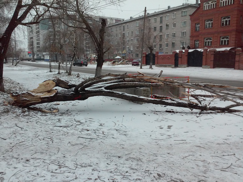 Народные новости: тротуар с препятствием