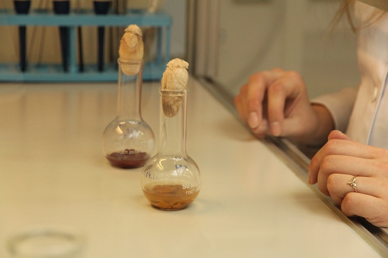 Ученые ТПУ создали биосорбент из грибов для очистки воды от тяжелых металлов