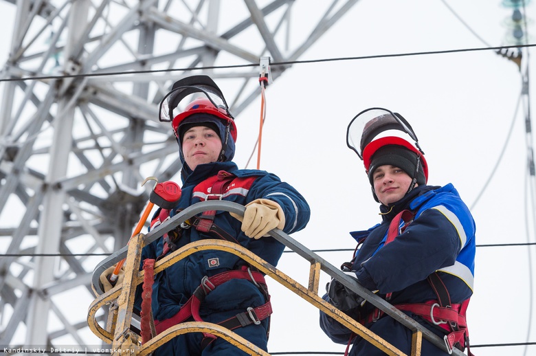 На проведение электросетей к участкам под ИЖС на окраине Томска направят 100 млн руб