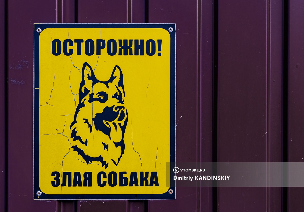 Пятилетний мальчик из Томской области получит компенсацию за нападение собаки