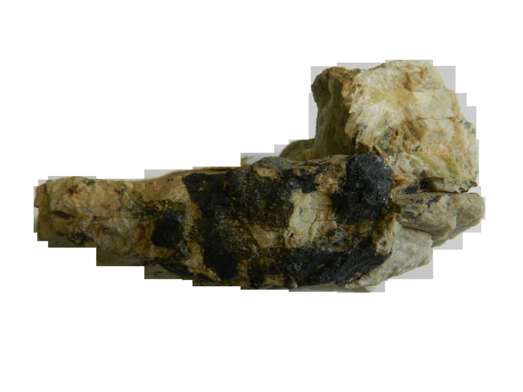 пресс-служба ТГУ