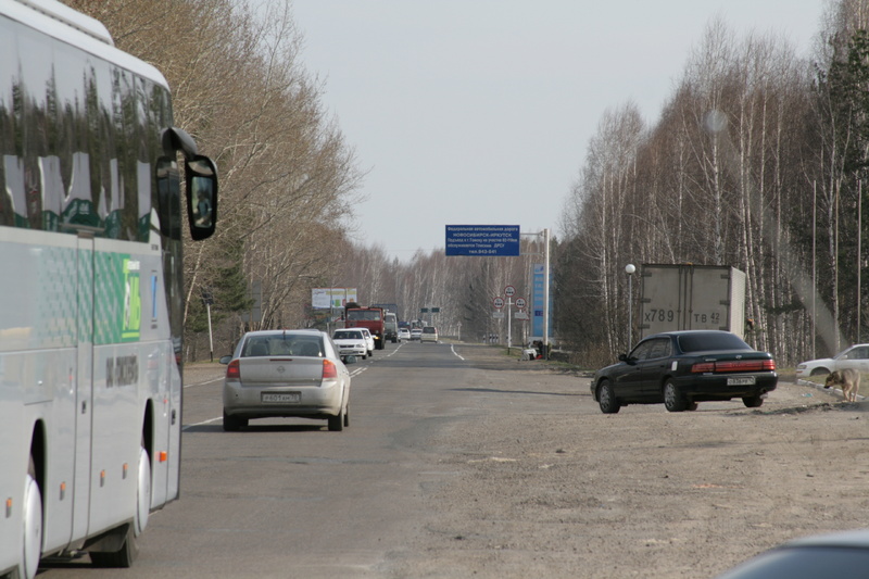 Дорожная сводка от ГИБДД