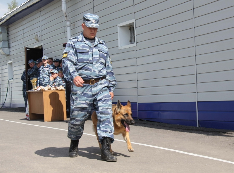 За этот год при помощи служебных собак в регионе раскрыто более 170 преступлений