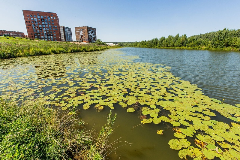 Фото Северного Парка Томск