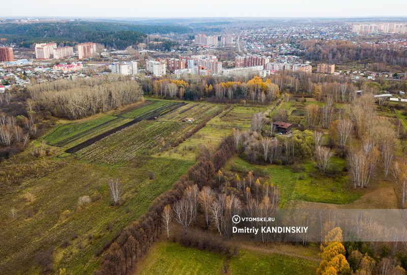 Томичка незаконно построила баню и теплицу в ботсаду. Суд обязал женщину их снести