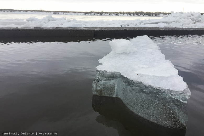 МЧС: уровень воды в Томи продолжает снижаться