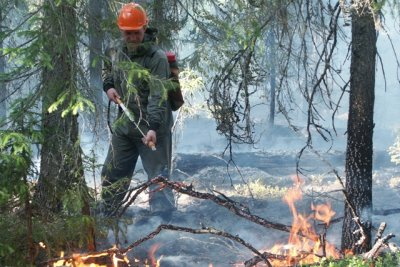 Одной из причин задымления стал пожар в пригороде