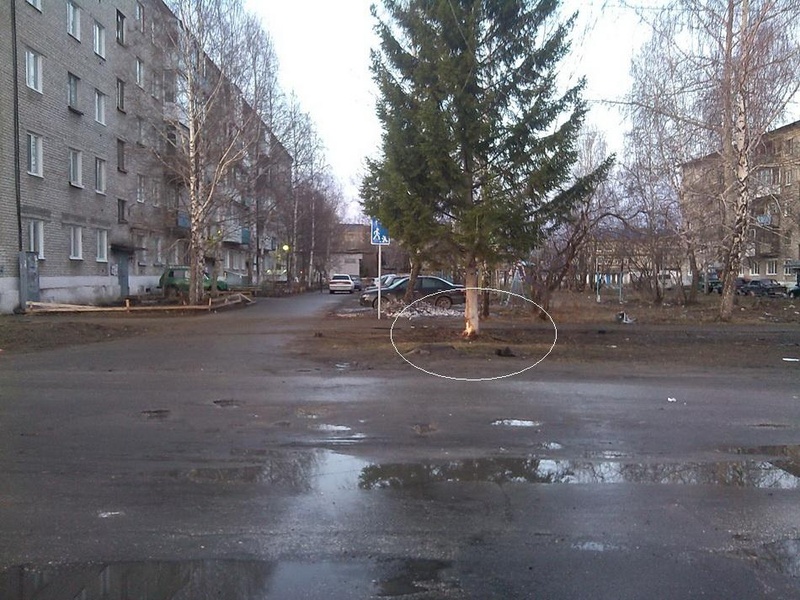Фото: областное управление ГИБДД