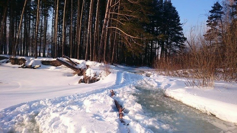 «Томскводоканал» устранит утечку в лесу Академгородка