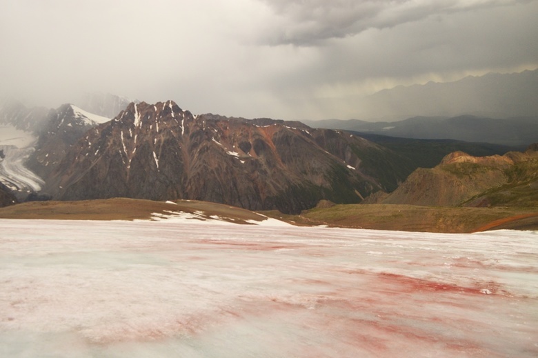 Томский ученый: ледник на Алтае покраснел из-за цветения водорослей