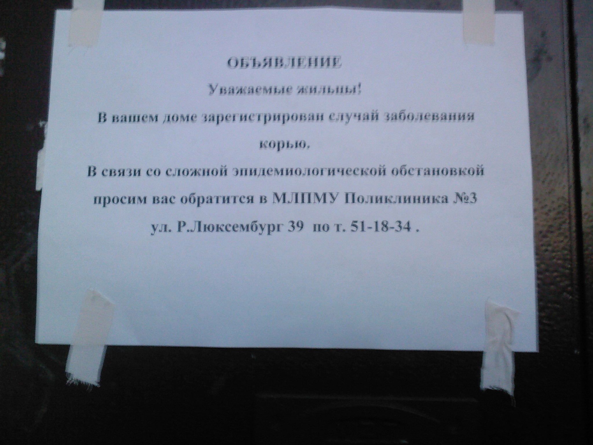 Народные новости: корь в подъезде (фото)