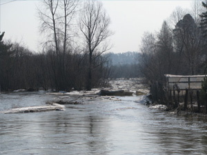 На Степановке уровень воды в Ушайке поднялся еще на двадцать сантиметров