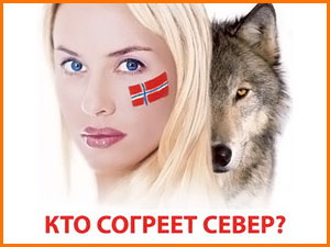 Кто согреет север? Норвежские электрообогреватели в Томске (фото)