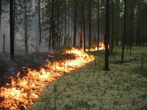 Между Кафтанчиково и Тахтамышево горит торф