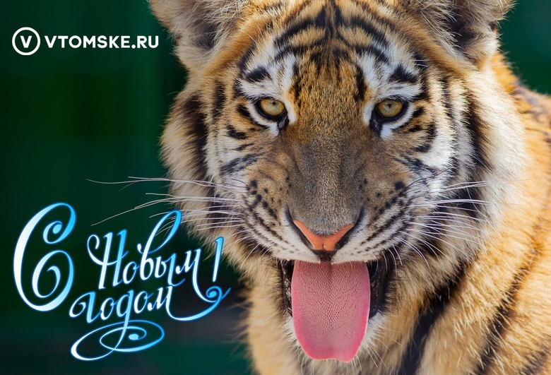 Прощаемся с 2021-м. Редакция vtomske.ru поздравляет томичей с Новым годом!