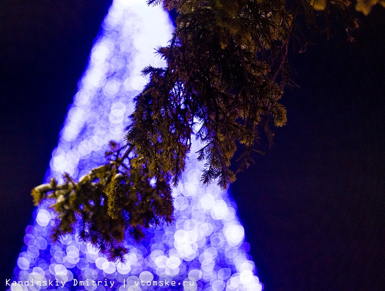 Новогодние огни зажглись на главной елке Томска