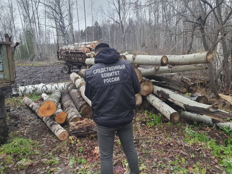 Бревна насмерть придавили мужчину при заготовке леса в Томской области