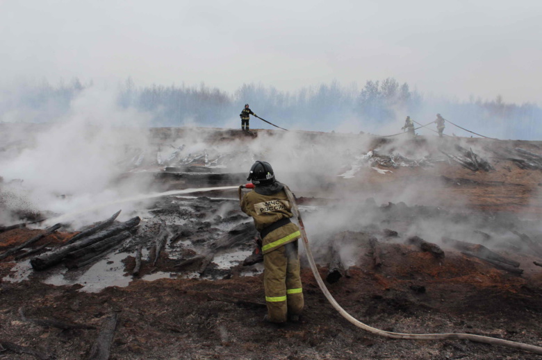 Пожар на частном складе древесины в Асино потушен спустя почти 18 часов