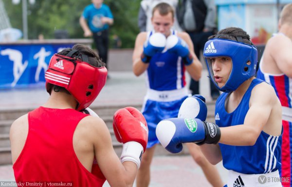 На Новособорной выступят гимнасты и боксеры