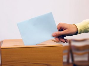 Приезжих студентов успеют внести в списки избирателей к выборам 8 сентября