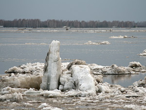 Уровень воды в Томи продолжает снижаться