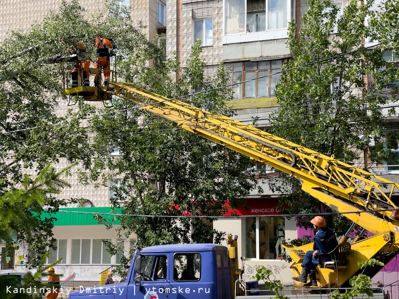 Дерево упало на маршрутку в центре Томска