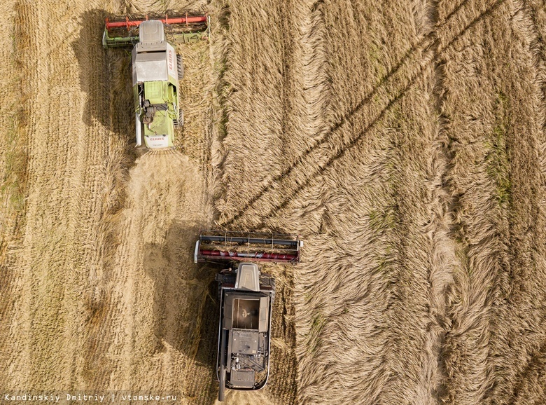 Рекордная урожайность зерновых зафиксирована в Томской области в 2021г
