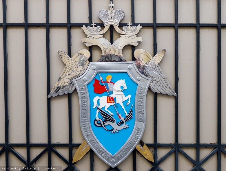 Житель Чувашии домогался юных томичек в соцсетях