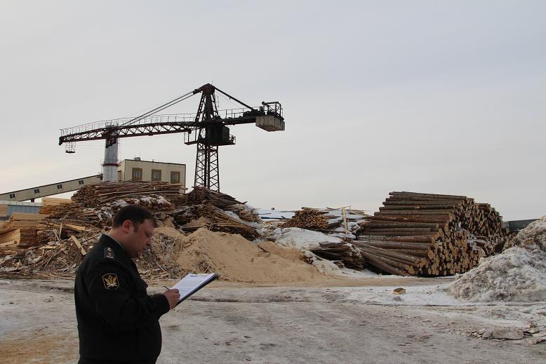 Приставы в Томске опечатали 4 опасных башенных крана