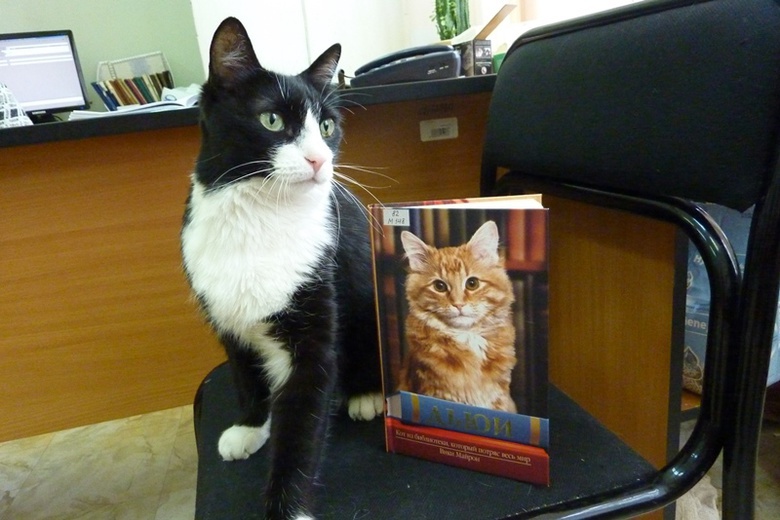Кот из библиотеки политеха поможет волонтерам с благотворительной акцией