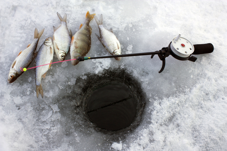 На водоемах области делают лунки против замора рыбы