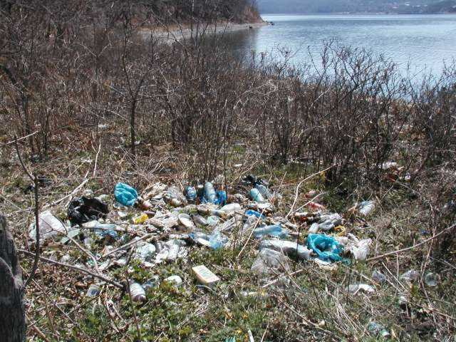 Мусорный полигон могли построить на месте залегания грунтовых вод
