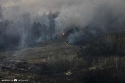 В Александровском районе горит 90 гектаров леса